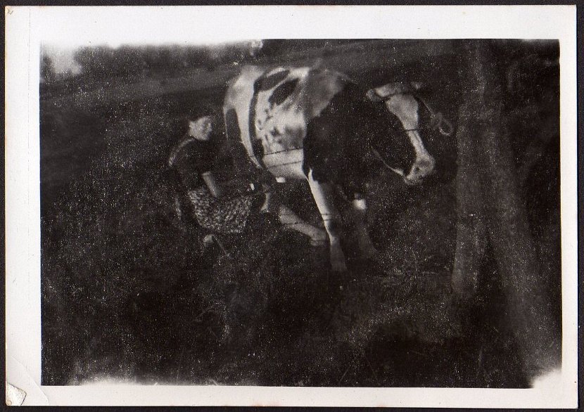 oud166