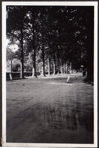oud175